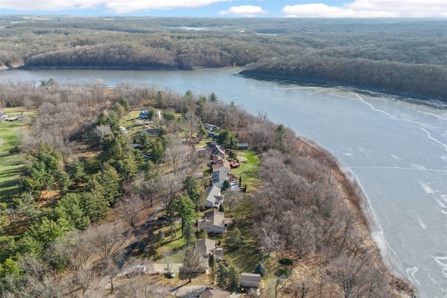 aerial view with a water view and a wooded view