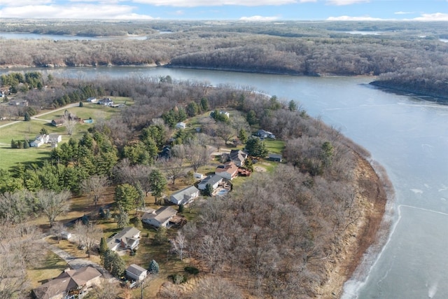 aerial view with a water view and a view of trees