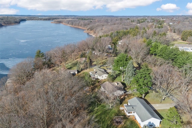 aerial view featuring a water view and a view of trees