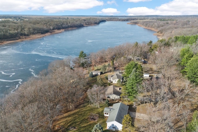 birds eye view of property featuring a water view and a view of trees