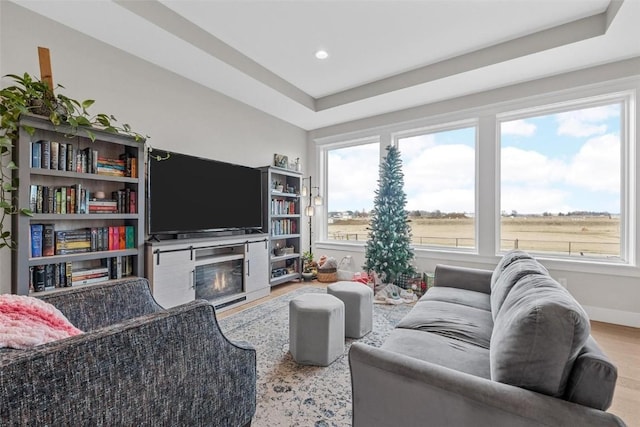 living room featuring light hardwood / wood-style floors and a tray ceiling