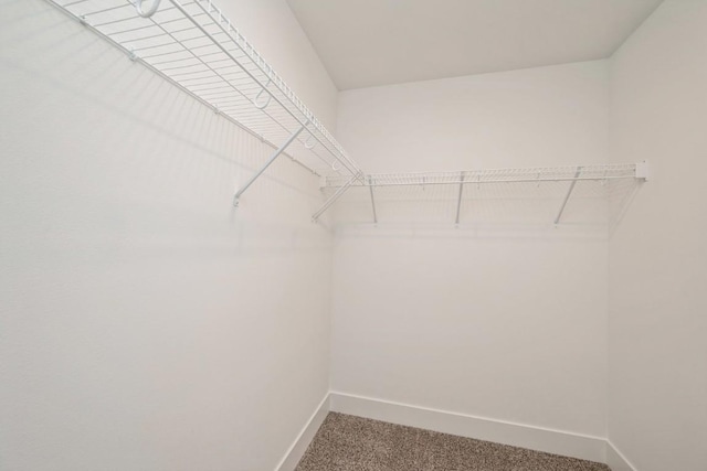 1807 Shady Grove Rd SW, Cedar Rapids, IA 52404 - walk in closet featuring carpet floors