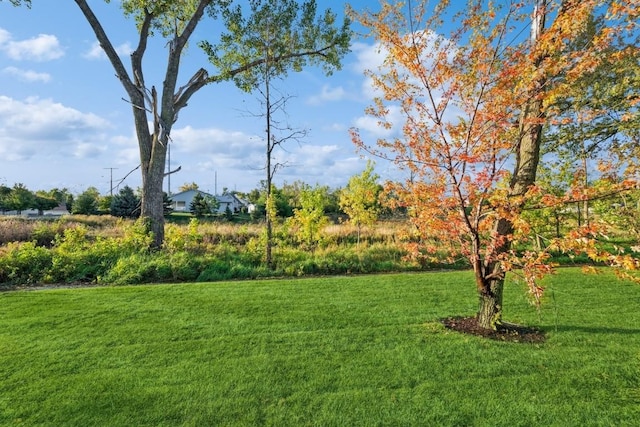 1807 Shady Grove Rd SW, Cedar Rapids, IA 52404 - view of green lawn