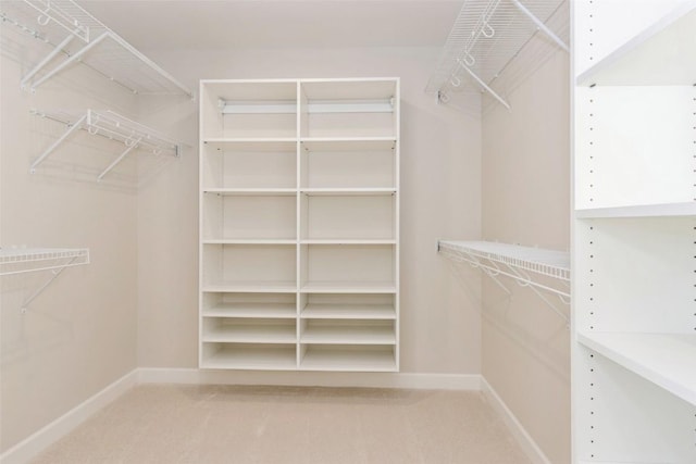 spacious closet featuring carpet