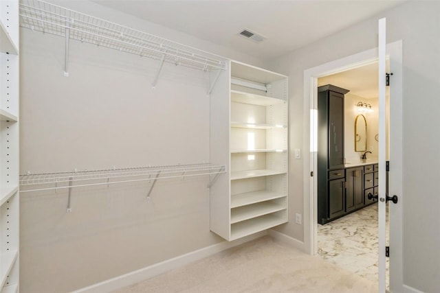 spacious closet featuring carpet flooring and sink