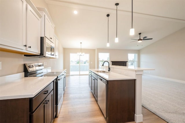 kitchen featuring appliances with stainless steel finishes, open floor plan, white cabinets, a sink, and dark brown cabinetry