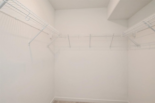 1913 Holly Meadow Ave SW, Cedar Rapids, IA 52404 - walk in closet with carpet