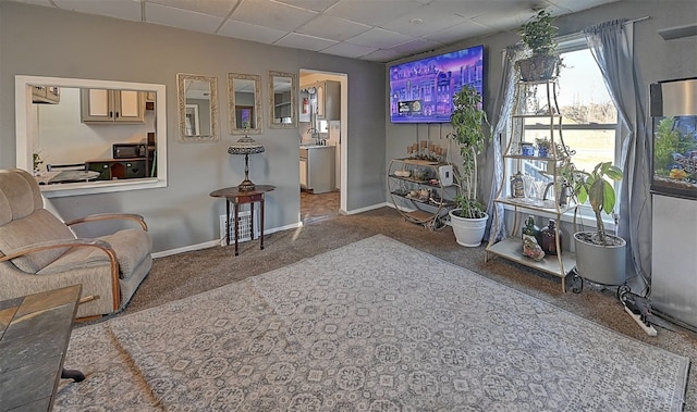 living area with carpet floors, sink, and a drop ceiling