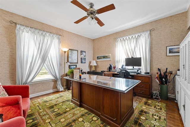 office area with dark hardwood / wood-style floors, ceiling fan, and ornamental molding