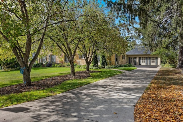 view of community featuring a yard