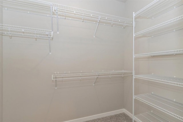 spacious closet with carpet flooring