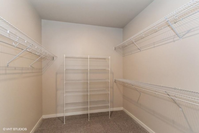 walk in closet featuring carpet flooring