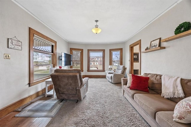 living room with hardwood / wood-style flooring, crown molding, and a healthy amount of sunlight