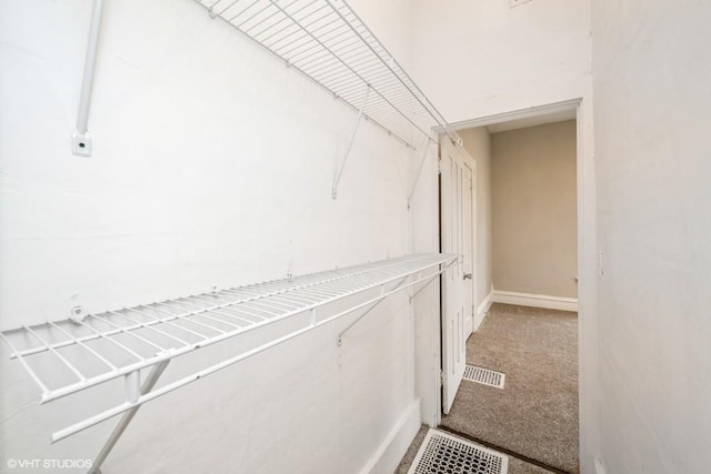 spacious closet featuring carpet flooring