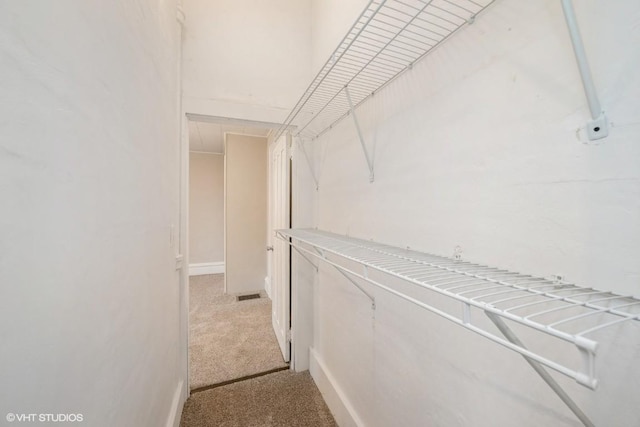 spacious closet with light colored carpet