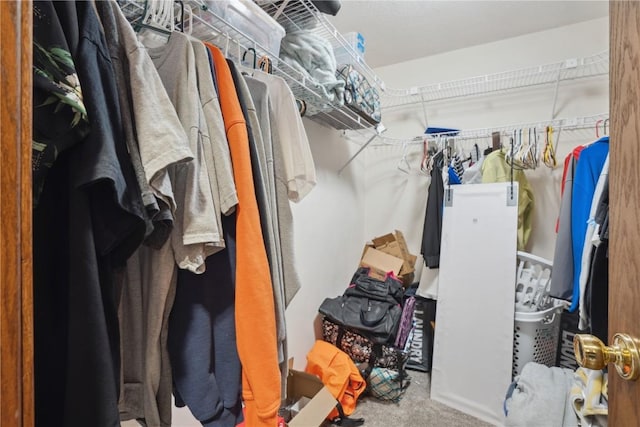 walk in closet featuring carpet floors