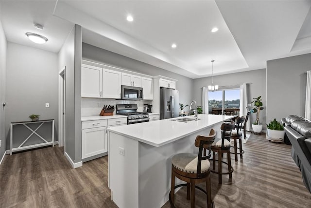 kitchen with white cabinetry, sink, stainless steel appliances, a tray ceiling, and a kitchen island with sink