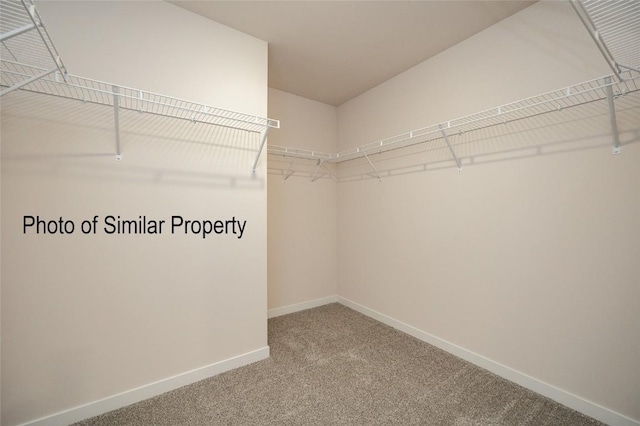 walk in closet featuring carpet flooring