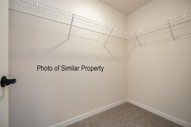 spacious closet featuring carpet floors