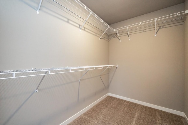 1018 Deer Run Dr NE, Cedar Rapids, IA 52402 - photo 23