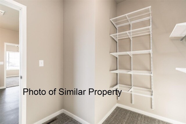 spacious closet featuring carpet floors