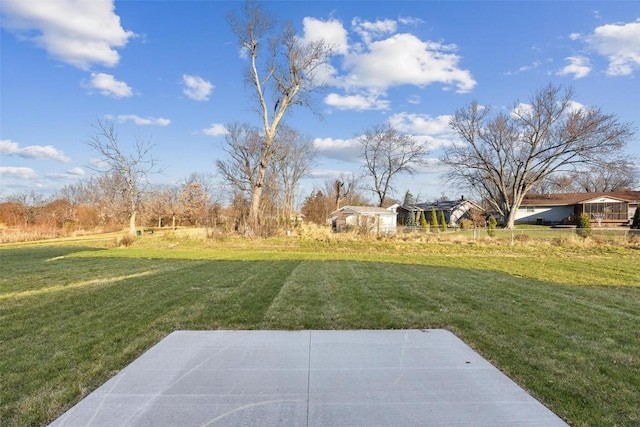 view of yard featuring a patio area