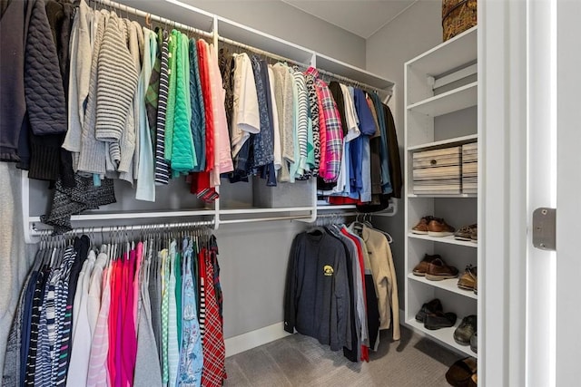 walk in closet featuring carpet flooring