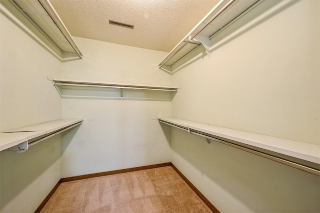 walk in closet featuring light colored carpet