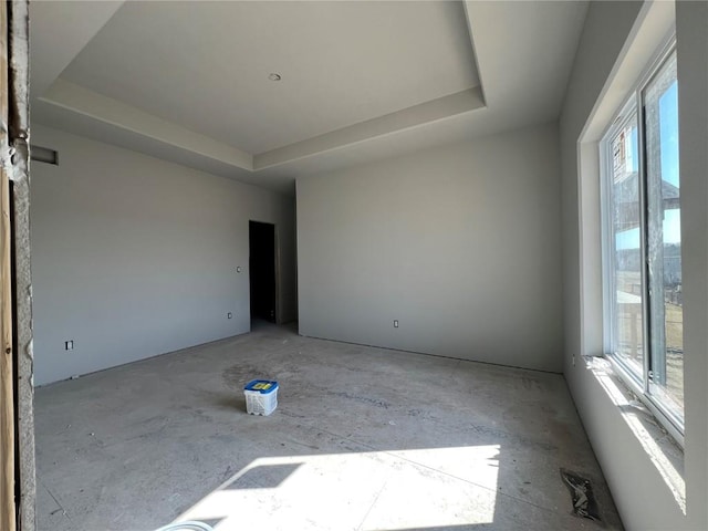 spare room with a raised ceiling