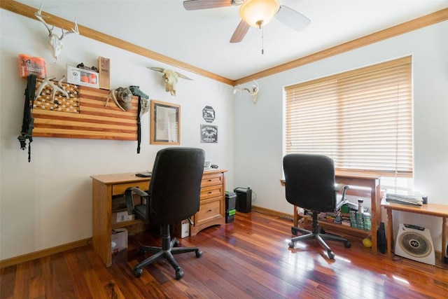 office space featuring dark hardwood / wood-style floors, ceiling fan, and ornamental molding