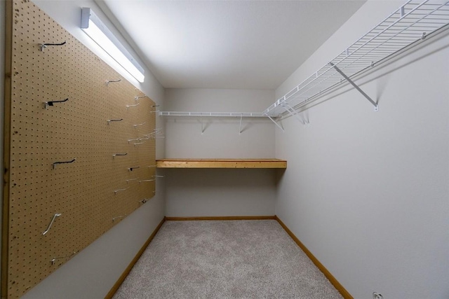 spacious closet featuring light colored carpet