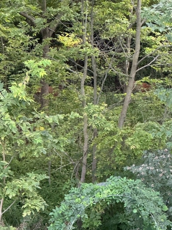 view of landscape featuring a forest view