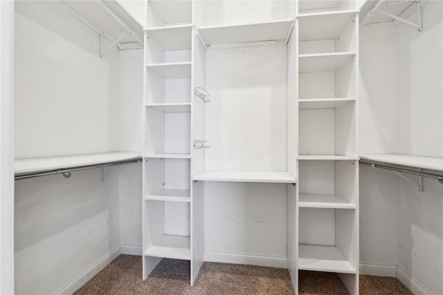 spacious closet with carpet flooring