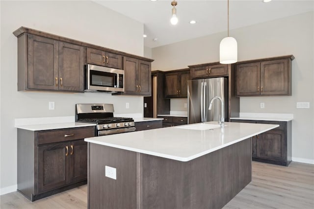 kitchen featuring dark brown cabinetry, stainless steel appliances, and light hardwood / wood-style flooring