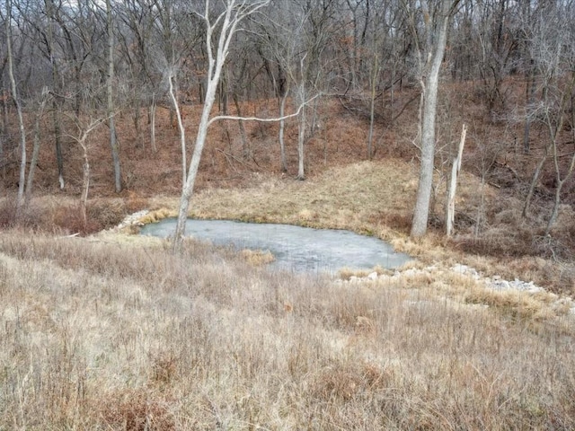 view of local wilderness