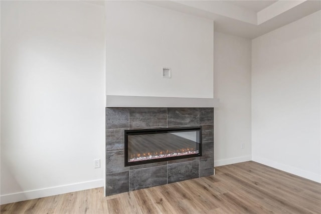 details featuring a fireplace and wood-type flooring