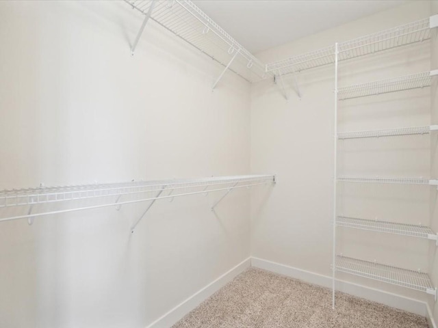 261 Colchester Dr, Iowa City, IA 52245 - spacious closet featuring carpet