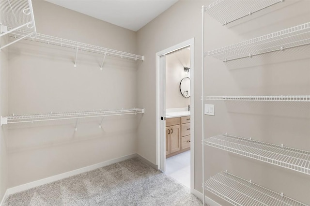 walk in closet with carpet