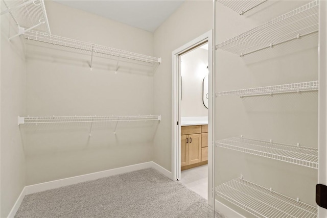 walk in closet featuring light carpet