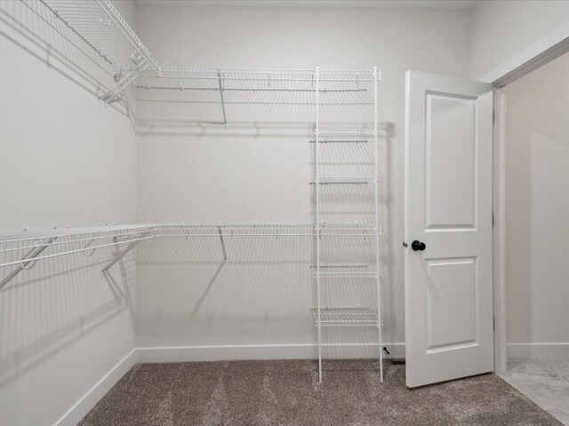 318 Sierra Trce, Coralville, IA 52241 - spacious closet featuring carpet flooring