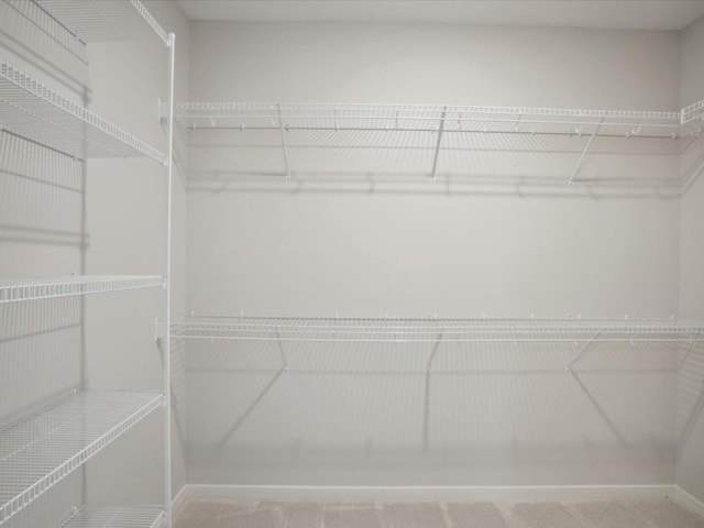 walk in closet with carpet