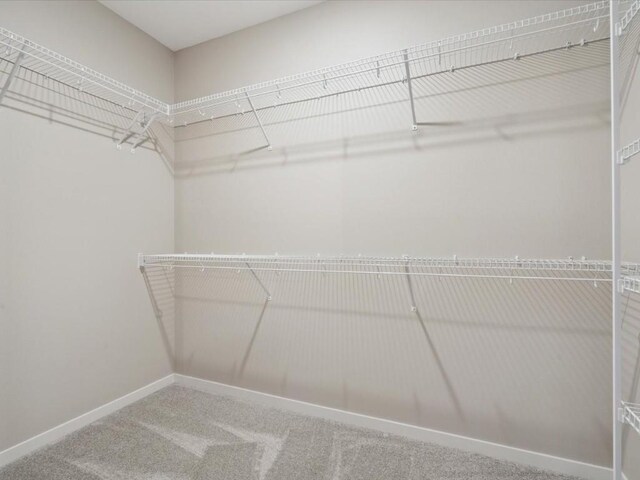 322 Sierra Trce, Coralville, IA 52241 - spacious closet featuring carpet