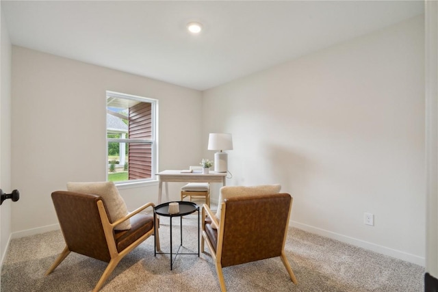 sitting room featuring carpet flooring