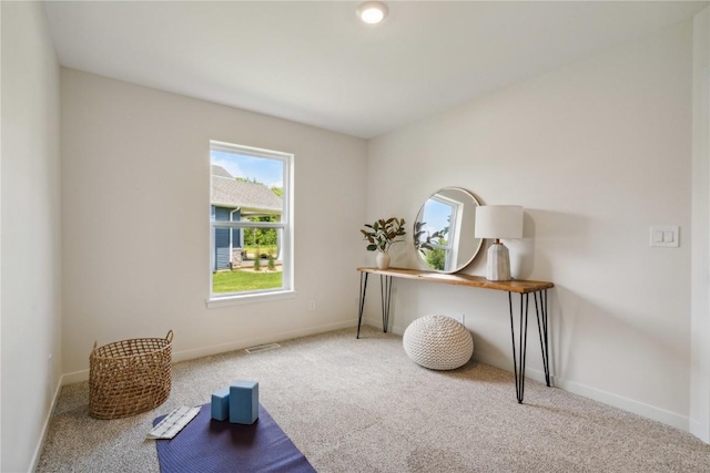 office space featuring carpet floors
