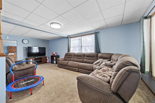 carpeted living room with a drop ceiling