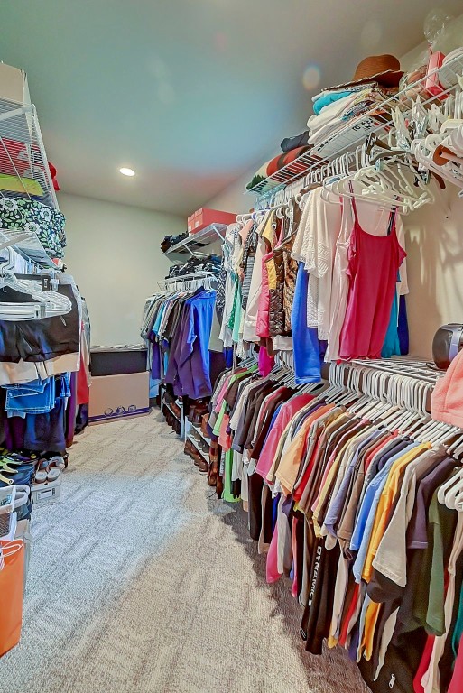 spacious closet with carpet