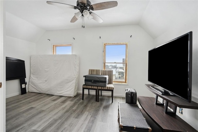 office with a wealth of natural light, hardwood / wood-style floors, and lofted ceiling