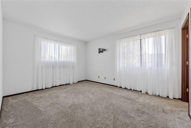 carpeted empty room with a textured ceiling, a wealth of natural light, and baseboards