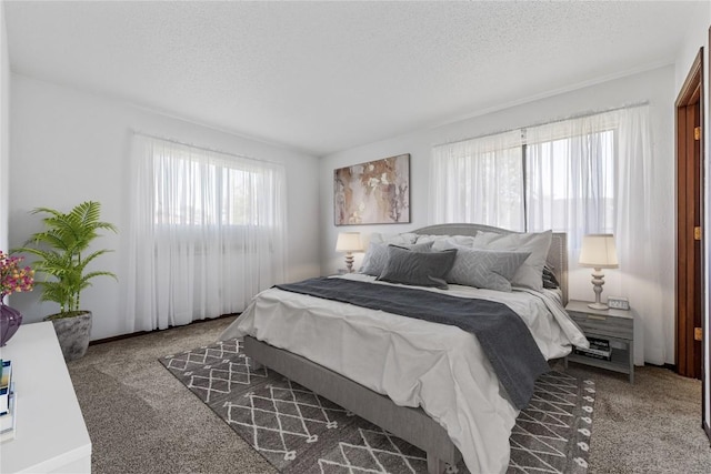 carpeted bedroom with multiple windows and a textured ceiling