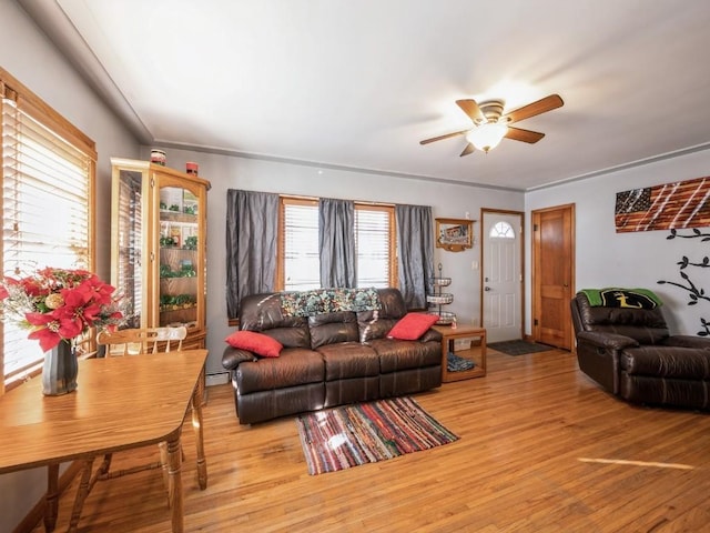 living room featuring a ceiling fan, light wood-type flooring, and baseboard heating